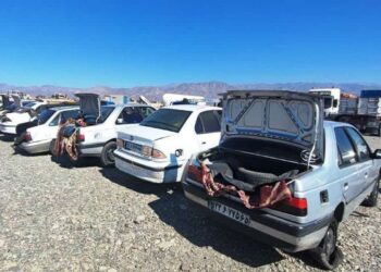 توقیف مشتقات ناس و ۹ هزار لیتر سوخت قاچاق در جوین